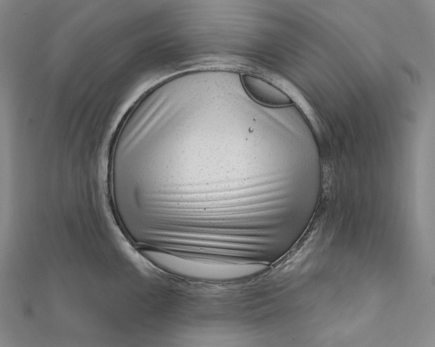 X0000111201099200907221125