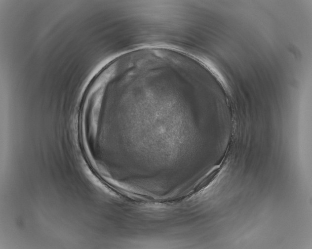 X0000111201100200907221125