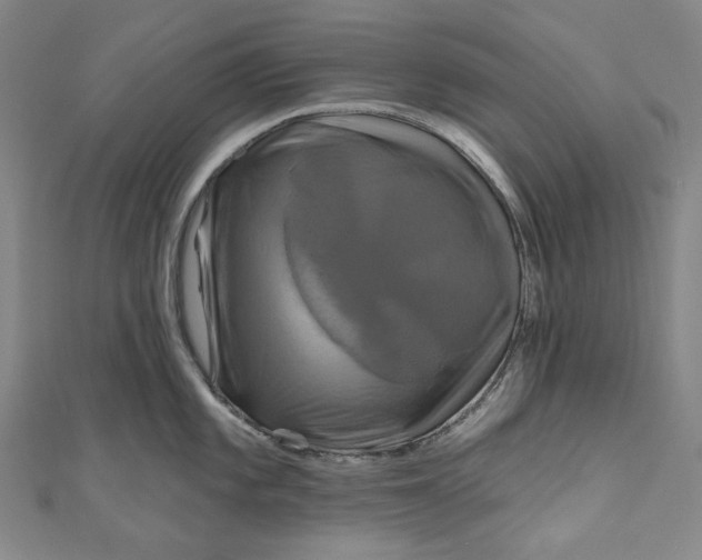 X0000111201101200907221125