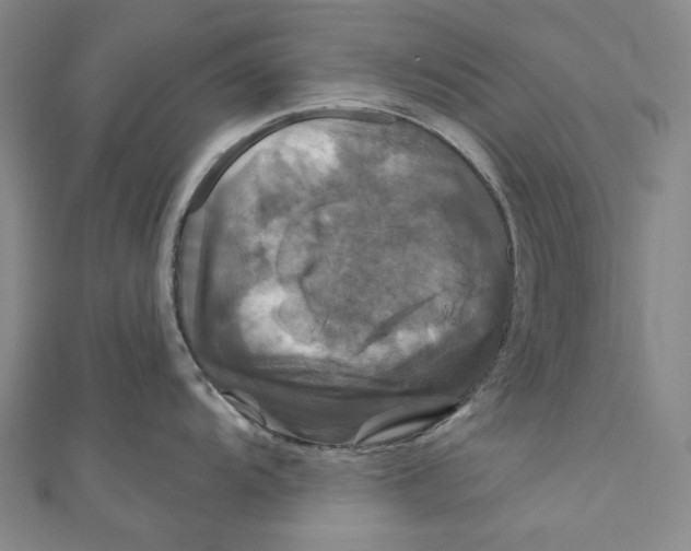 X0000111201104200907221125