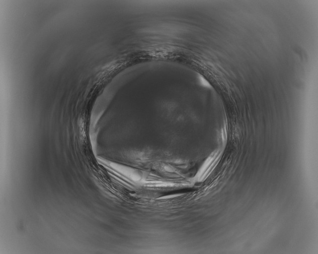 X0000111201106200907221124