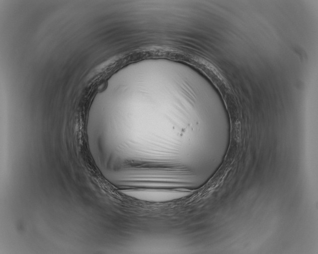 X0000111201111200907221124