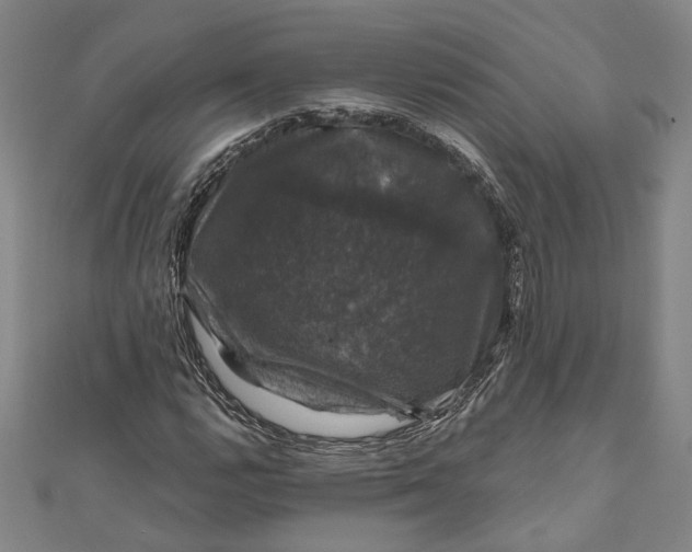 X0000111201112200907221124