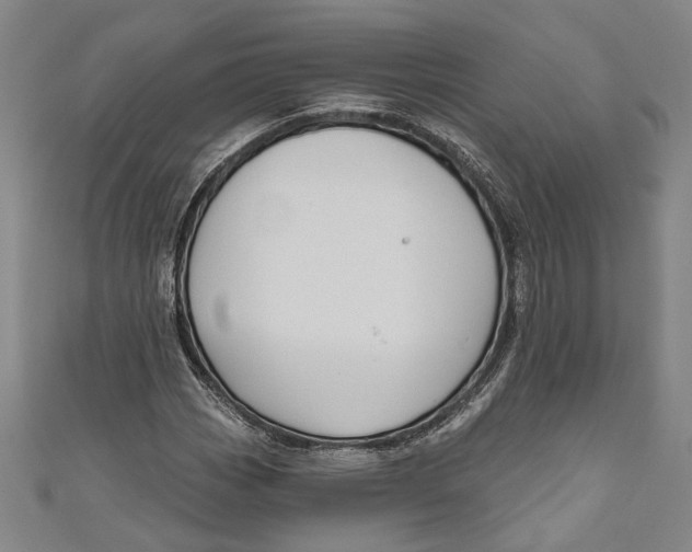 X0000111201113200907221124