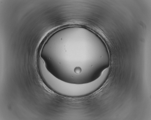 X0000111201116200907221124