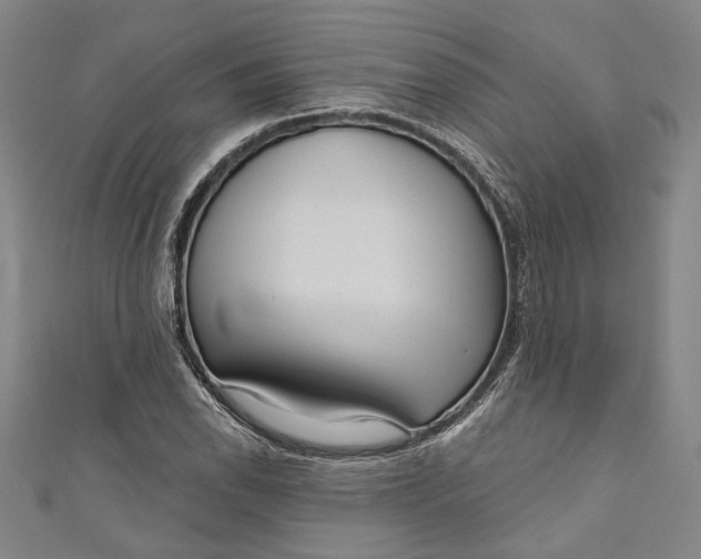 X0000111201118200907221124