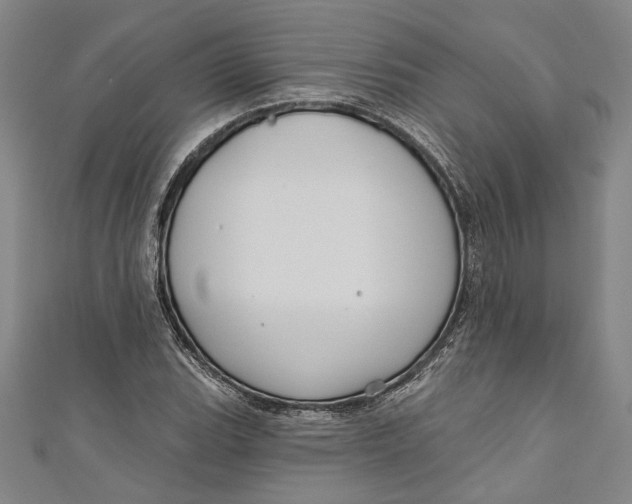 X0000111201119200907221124