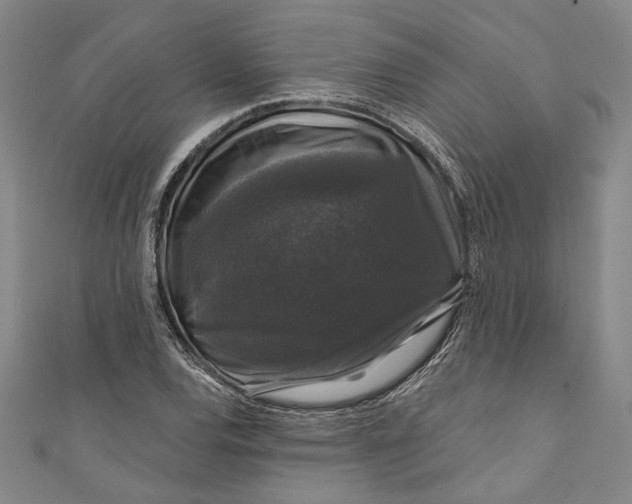 X0000111201120200907221124