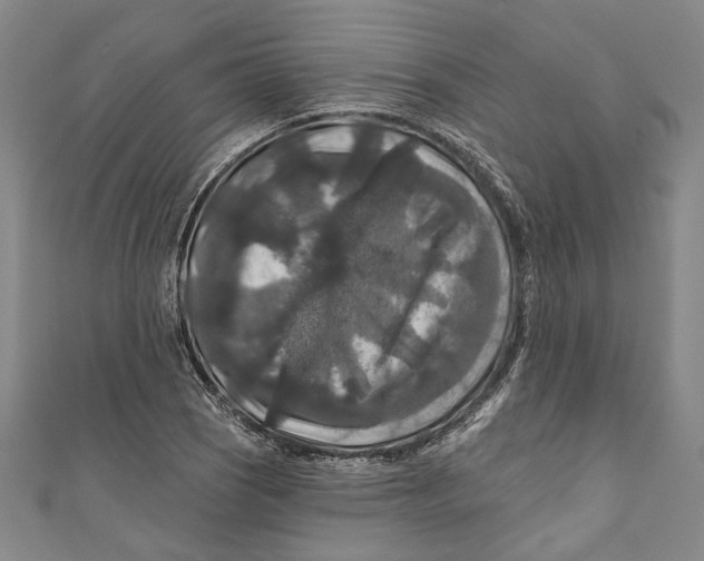 X0000111201121200907221124