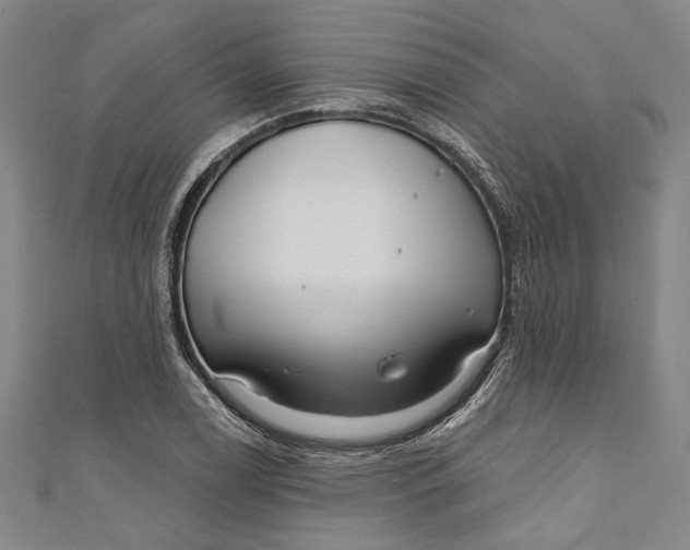 X0000111201122200907221124