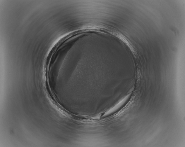 X0000111201124200907221124