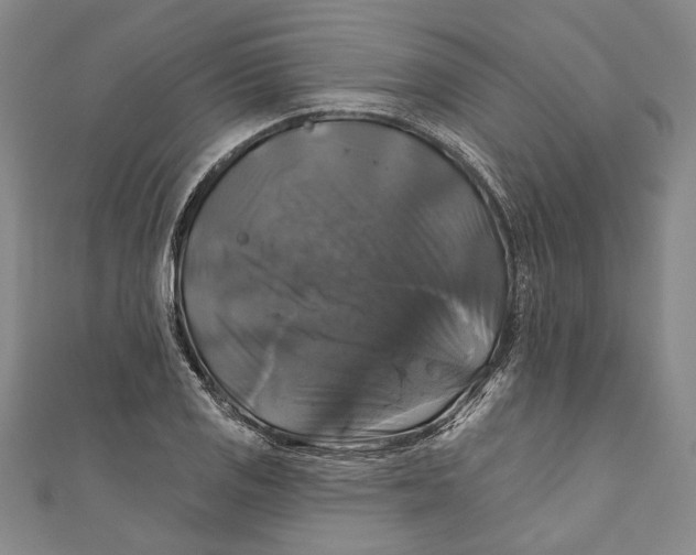 X0000111201125200907221124