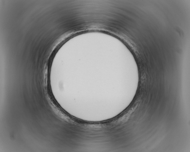 X0000111201126200907221124