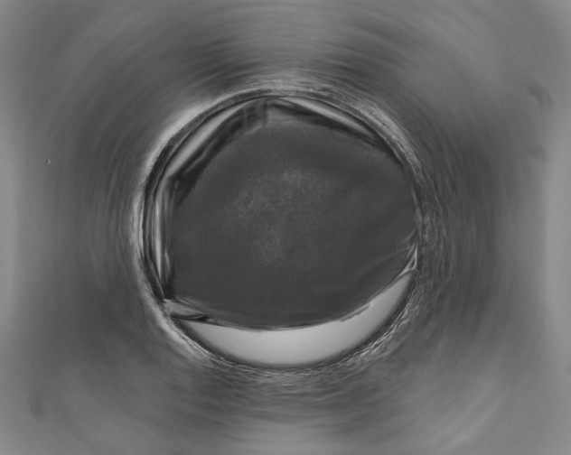 X0000111201128200907221124