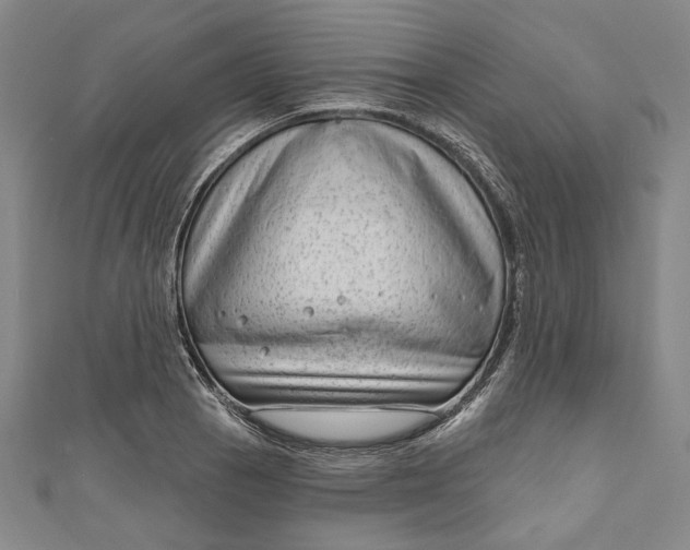 X0000111201129200907221124