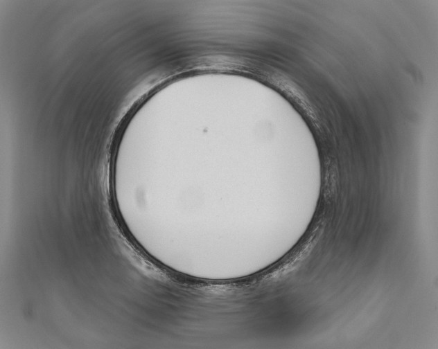 X0000111201130200907221124