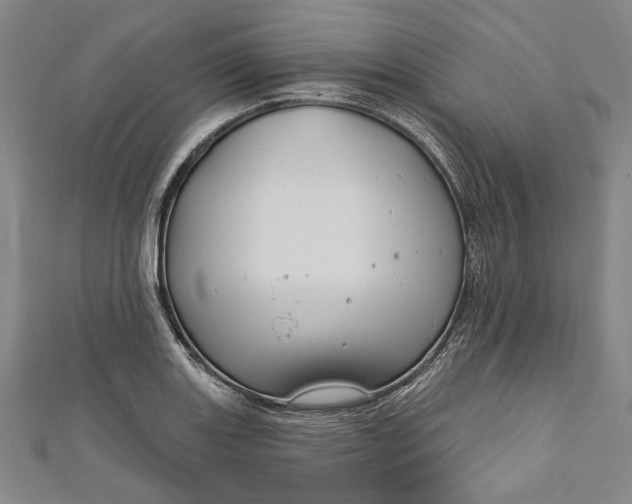 X0000111201131200907221124