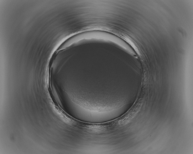 X0000111201132200907221124