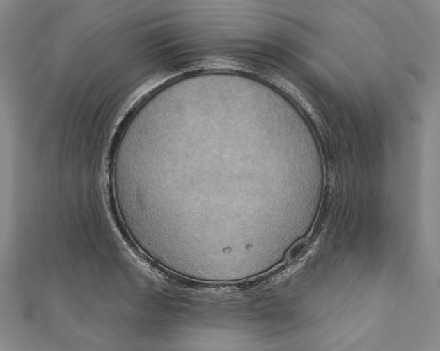 X0000111201133200907221124