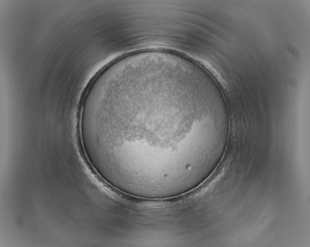 X0000111201134200907221124