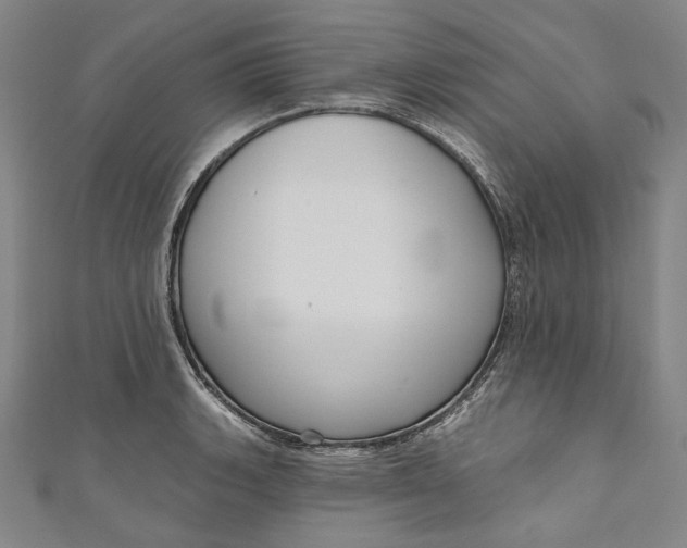 X0000111201135200907221124