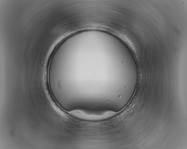 X0000111201136200907221124