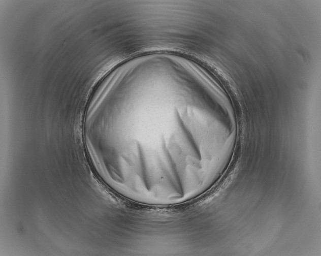 X0000111201137200907221124