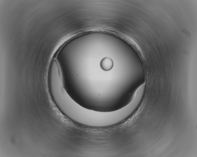 X0000111201138200907221124