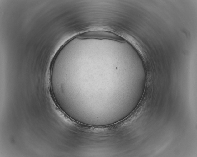 X0000111201140200907221124