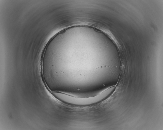 X0000111201143200907221124