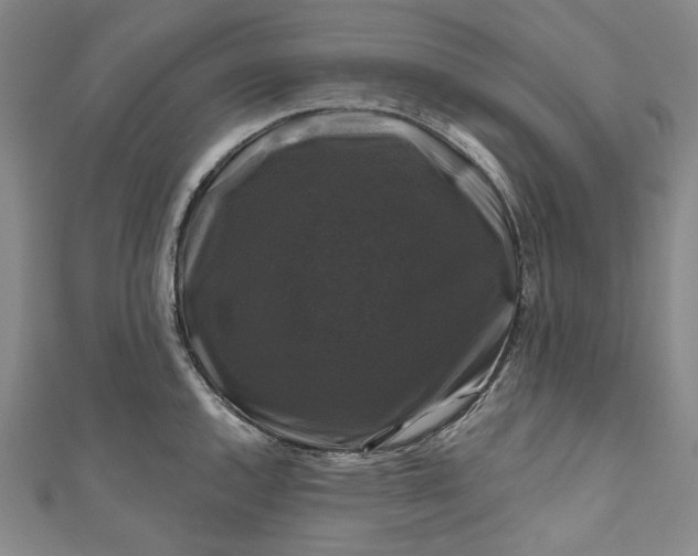 X0000111201144200907221124