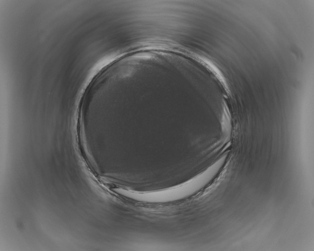 X0000111201146200907221124