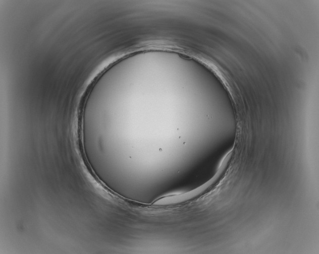 X0000111201147200907221124