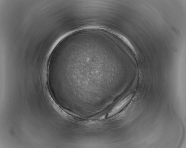 X0000111201148200907221124