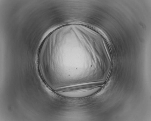 X0000111201149200907221125