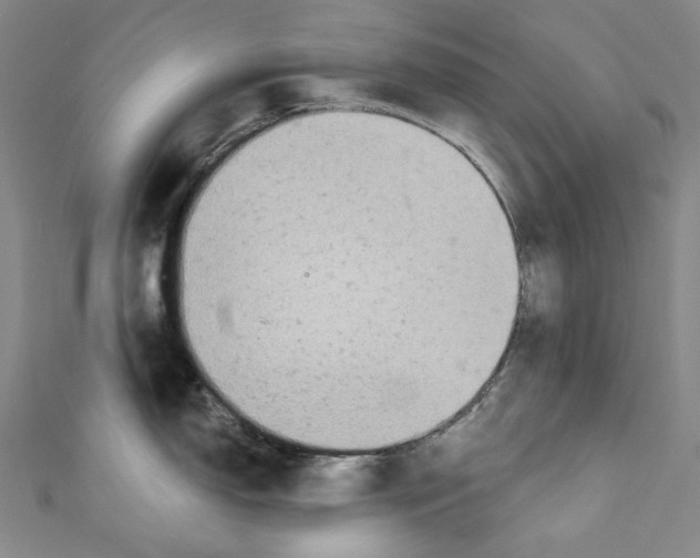 X0000111201150200907221125