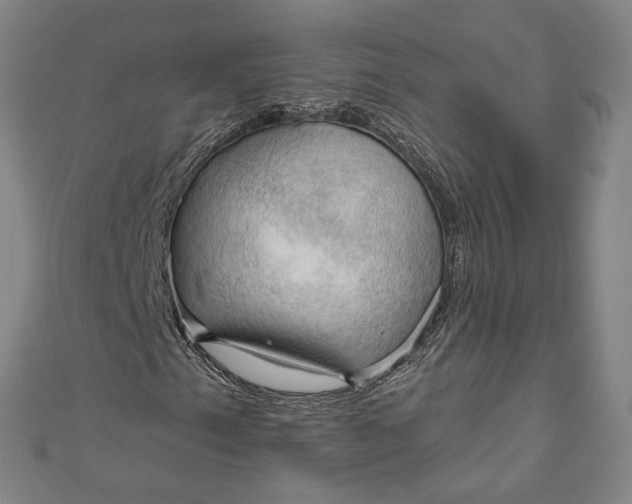 X0000111201153200907221124