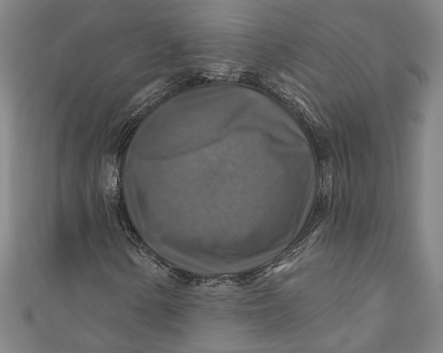 X0000111201154200907221124