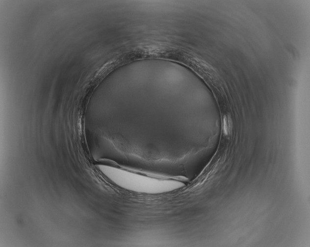 X0000111201155200907221124