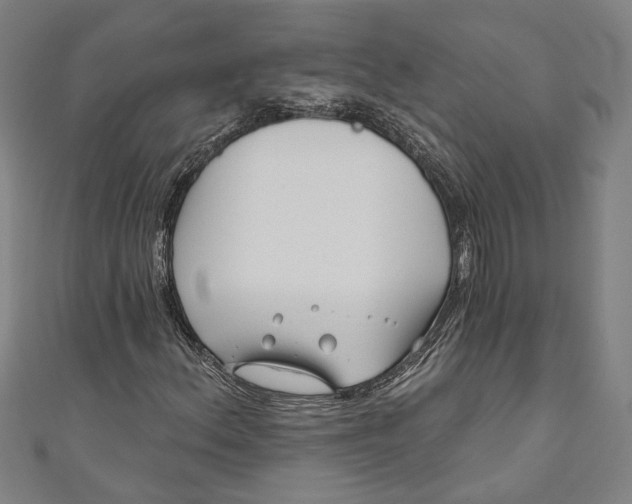 X0000111201156200907221124