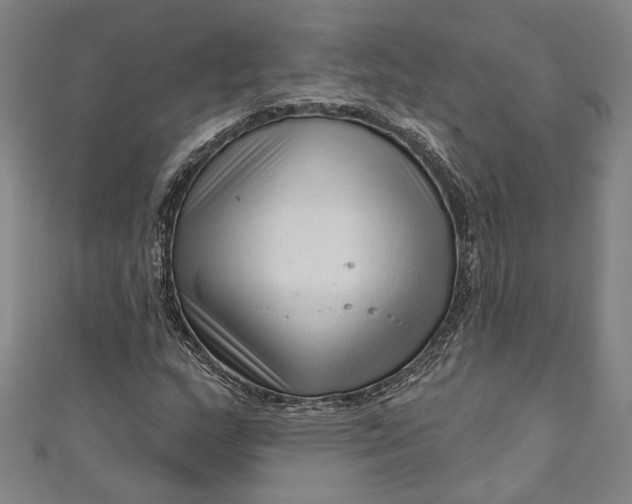 X0000111201159200907221124