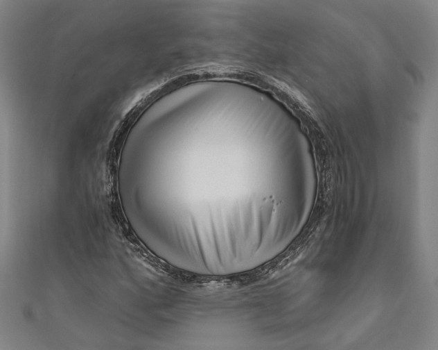 X0000111201160200907221124