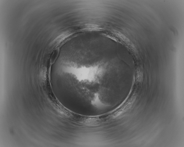 X0000111201161200907221124