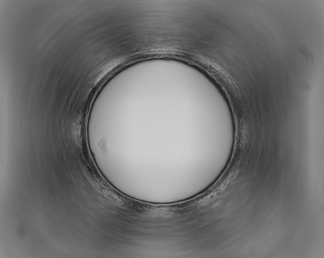 X0000111201162200907221124