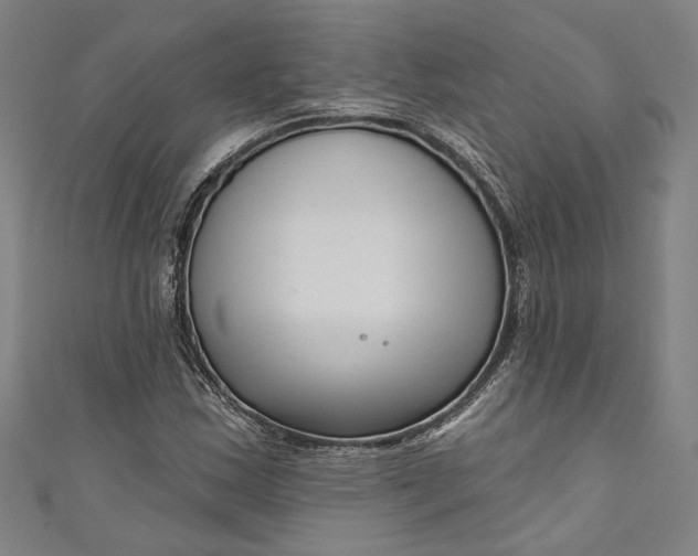 X0000111201163200907221124