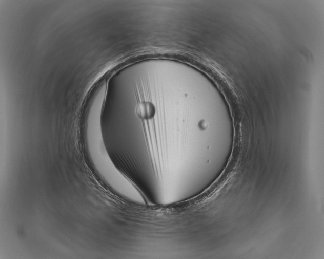 X0000111201165200907221124