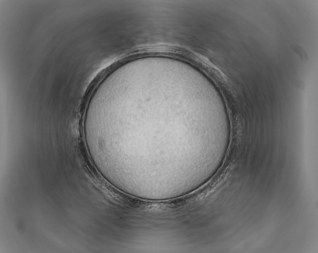 X0000111201166200907221124