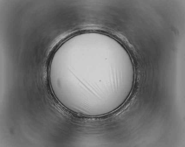 X0000111201167200907221124