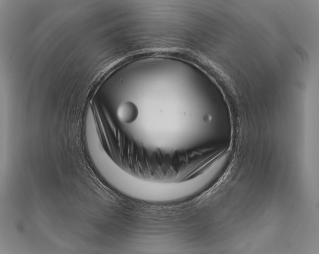 X0000111201169200907221124