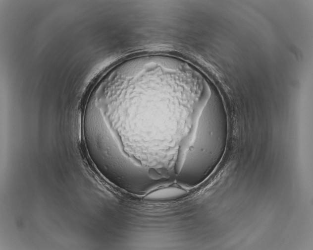 X0000111201171200907221124